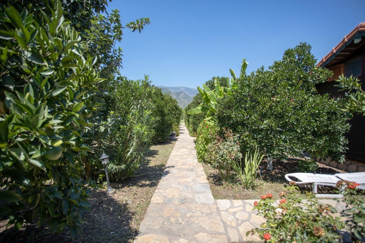 Ugur Pansiyon Bungalows Çıralı Ngoại thất bức ảnh