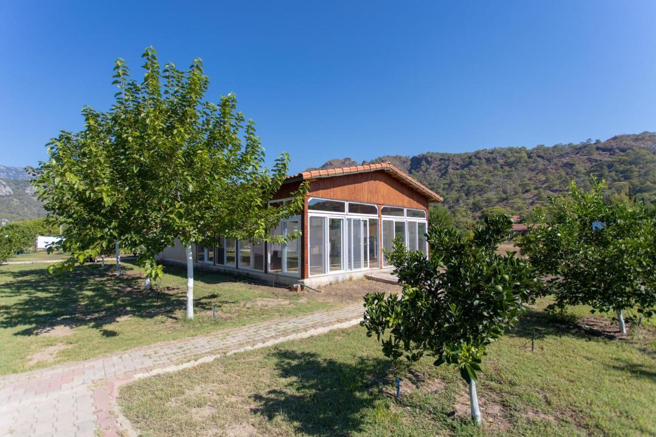 Ugur Pansiyon Bungalows Çıralı Ngoại thất bức ảnh