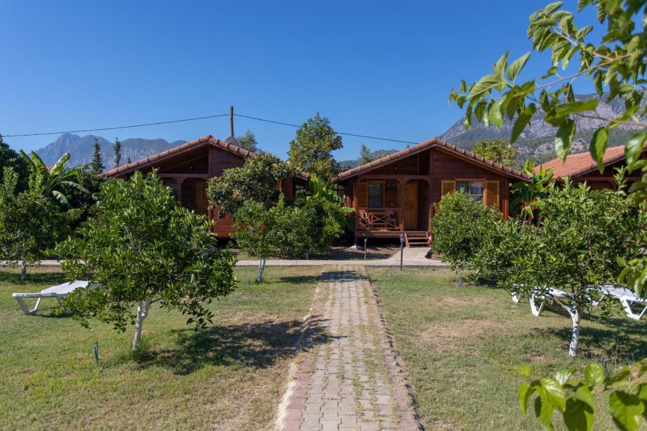 Ugur Pansiyon Bungalows Çıralı Ngoại thất bức ảnh