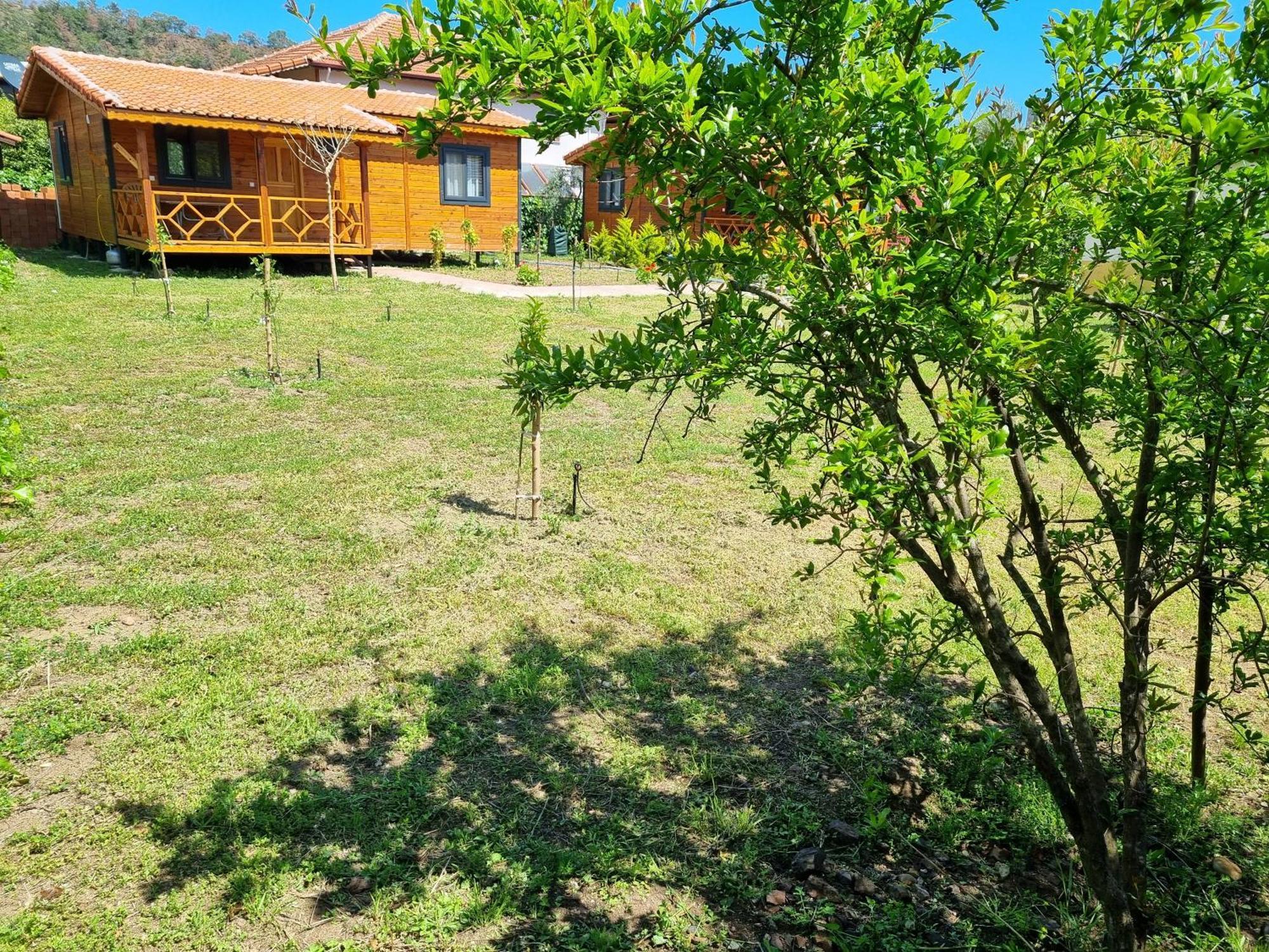 Ugur Pansiyon Bungalows Çıralı Ngoại thất bức ảnh